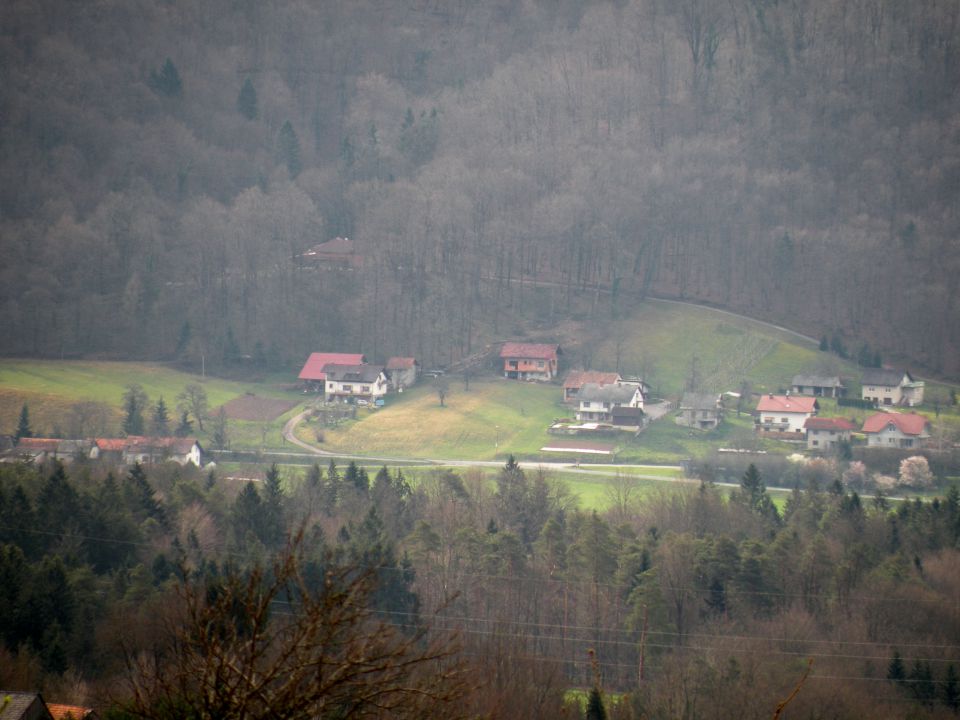 1.4. Blanca - foto povečava