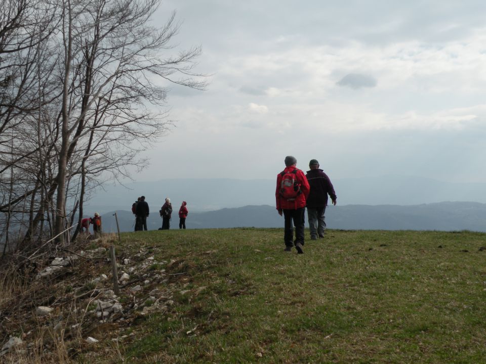 8.4. jevša - žanjevec - foto povečava