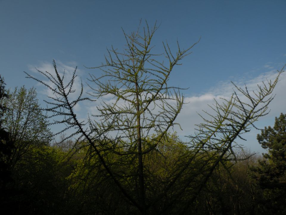 15.4.15 Budimpešta a - foto povečava