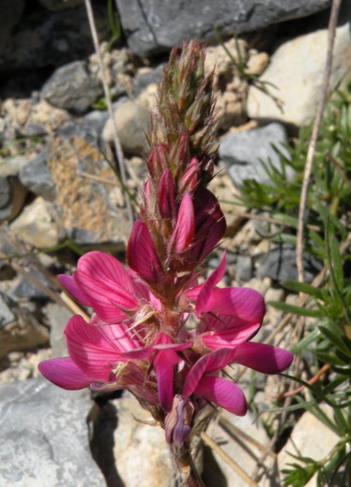 27.5.15 Španija prelaz mt.genevre - foto povečava