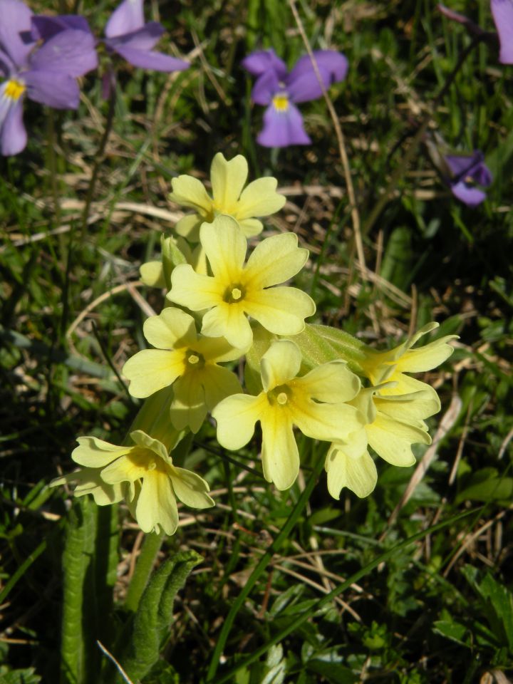 27.5.15 Španija prelaz mt.genevre - foto povečava