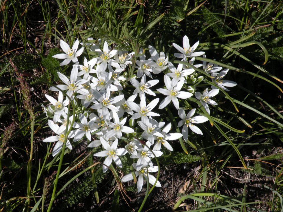 27.5.15 Španija prelaz mt.genevre - foto povečava