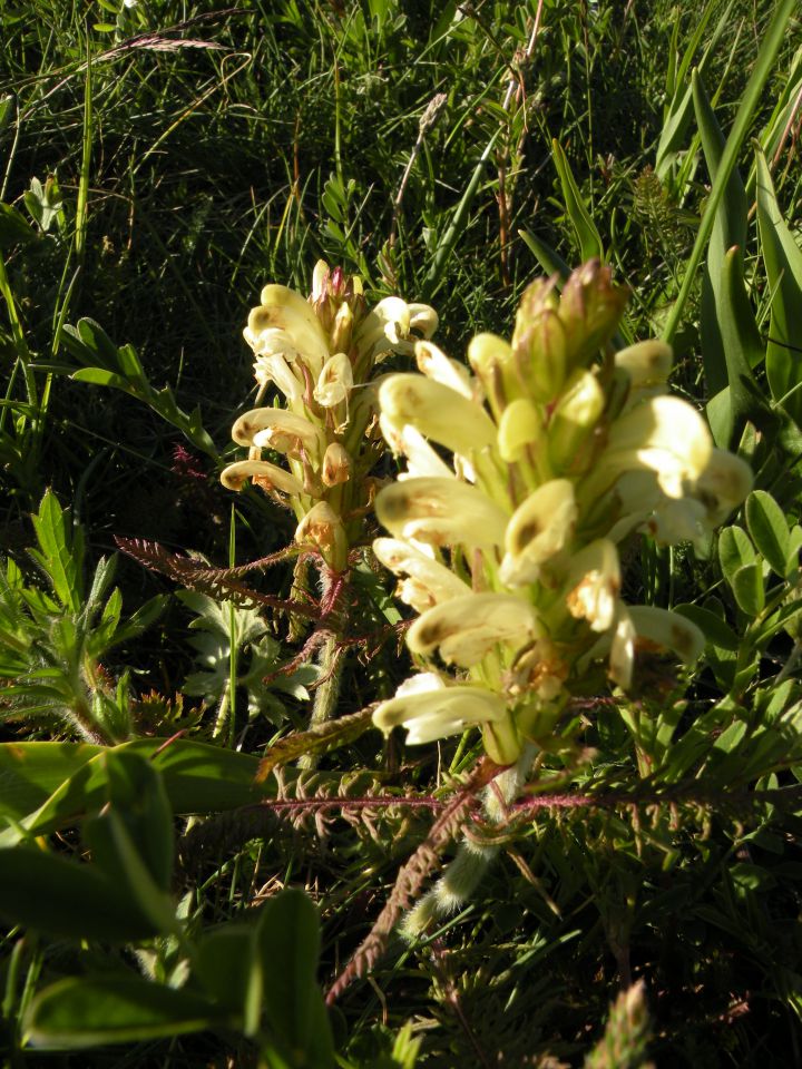 27.5.15 Španija prelaz mt.genevre - foto povečava