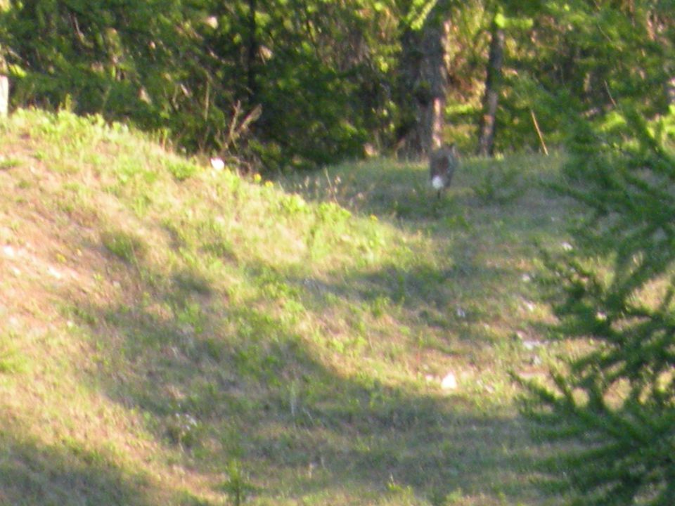 27.5.15 Španija prelaz mt.genevre - foto povečava