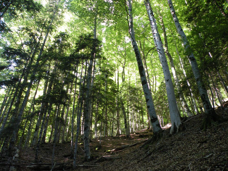 15 Španija Torla Ordesa - foto povečava