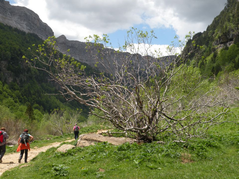 15 Španija Torla Ordesa - foto povečava