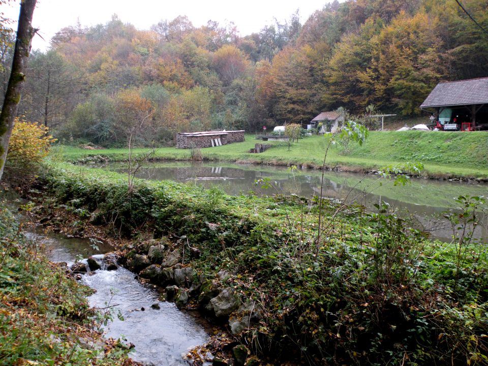 28.10 Arto - foto povečava