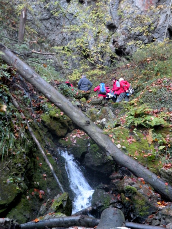 4.11.15 Raj peč - foto povečava