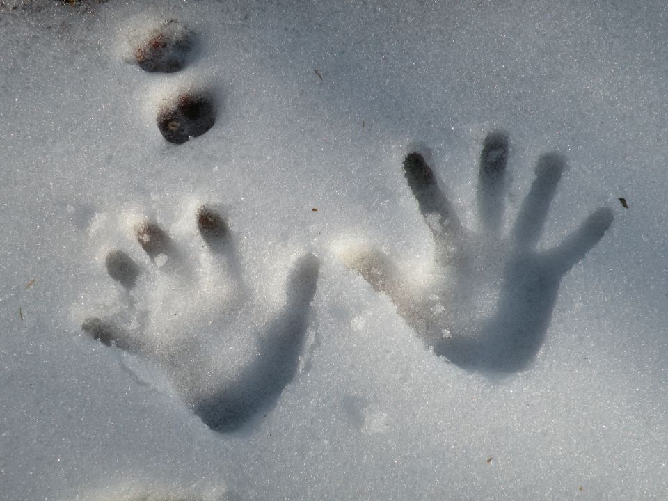 15 Šentjanž proti Lapušniku - foto povečava