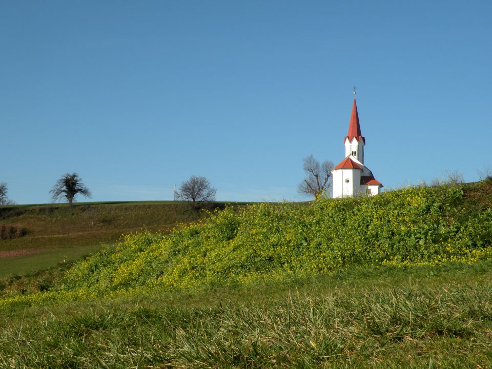 15 Šentjanž proti Lapušniku - foto povečava