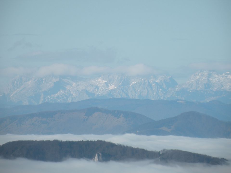 15 Sela, Lisca - foto povečava