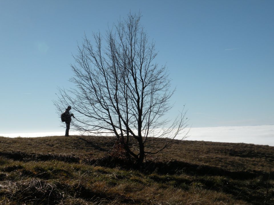 15 Sela, Lisca - foto povečava