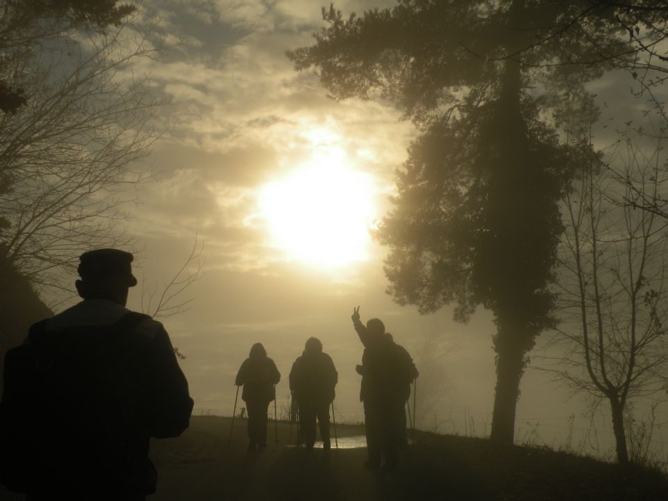 15 Čelovnik, Kincl - foto povečava