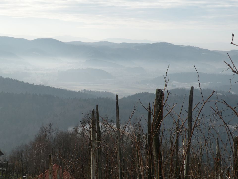 16 Pijavice, Mali Cirnik - foto povečava