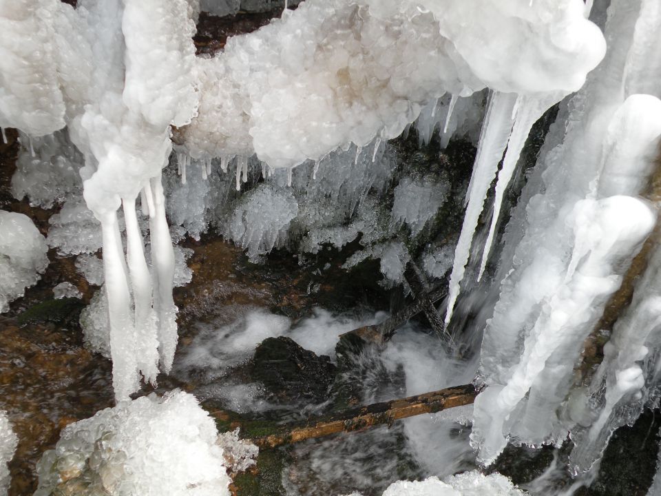 16 Pijavice, Mali Cirnik - foto povečava