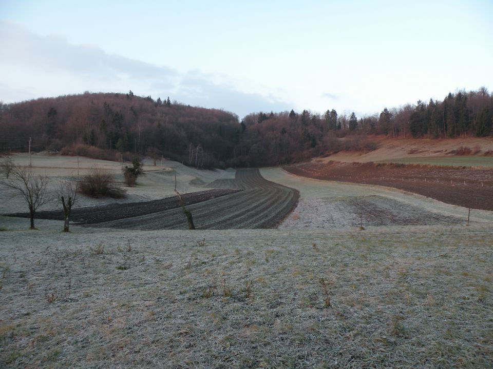 Drušče - foto povečava