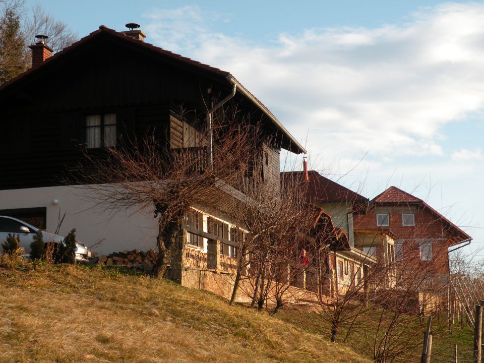 Drušče - foto povečava