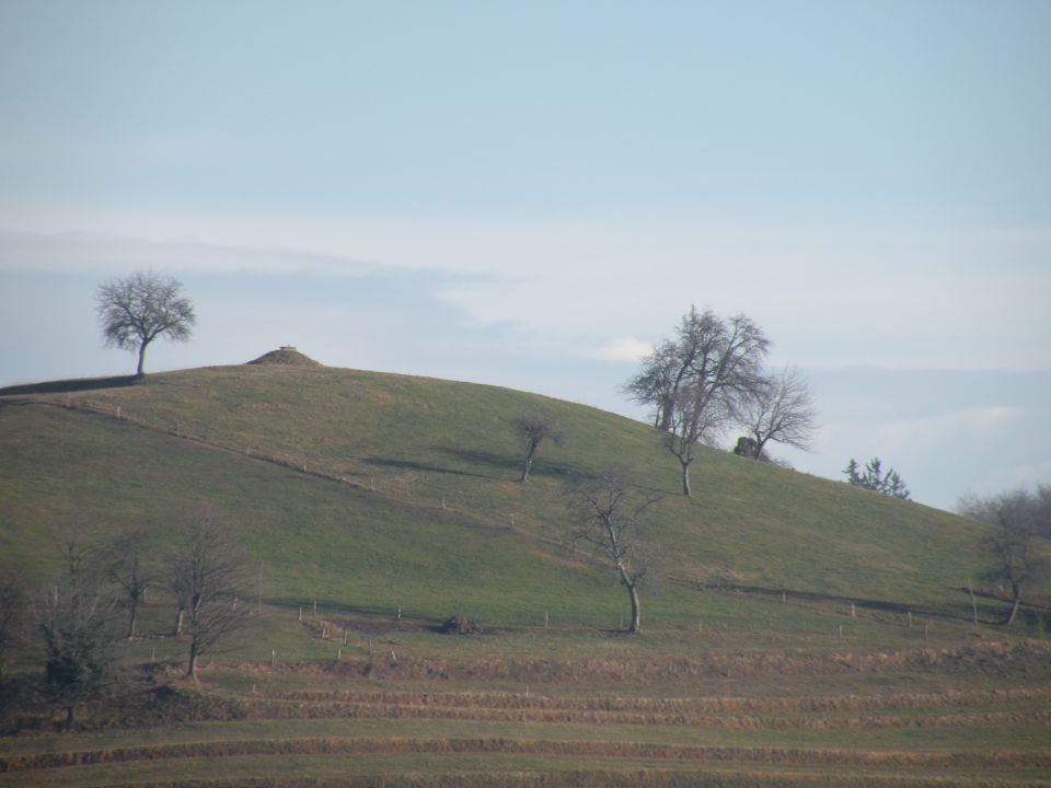 Drušče - foto povečava