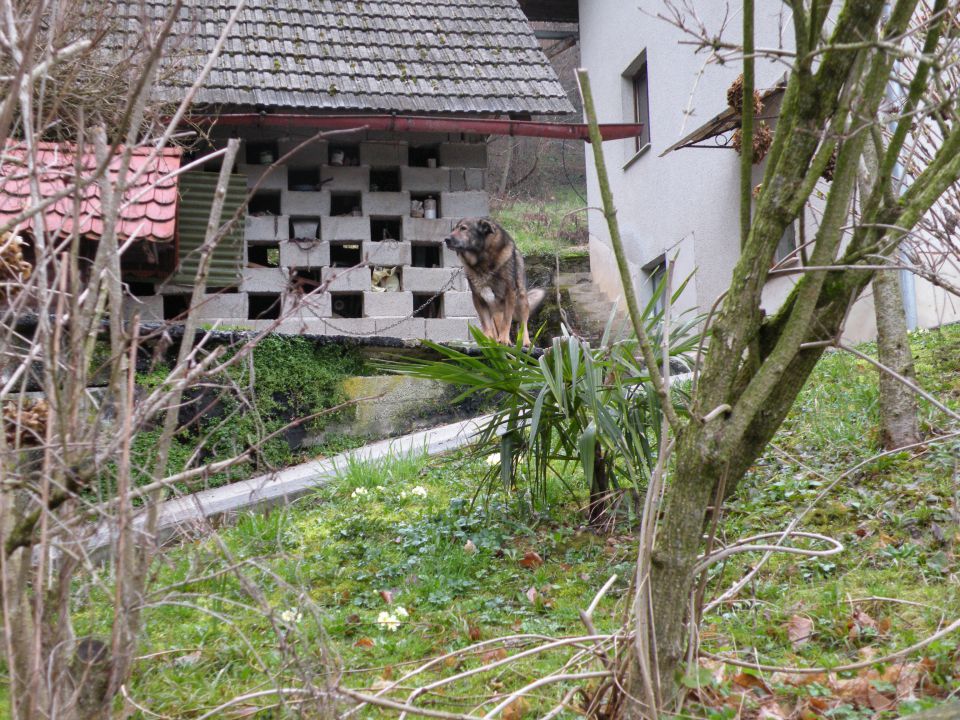 16 Ob Savi in okrog po Florjanski - foto povečava