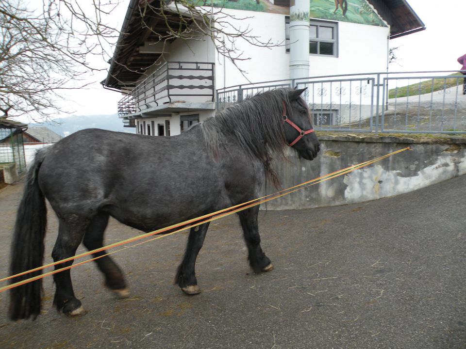 16 Ob Savi in okrog po Florjanski - foto povečava