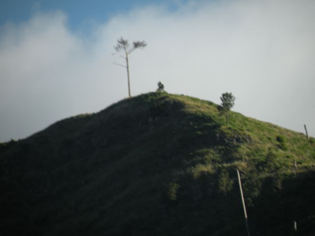 16 Madeira Encuemade - foto