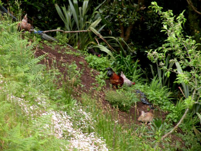 16 Madeira Encuemade - foto