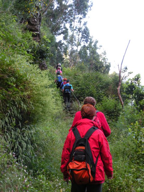 16 Madeira Encuemade - foto