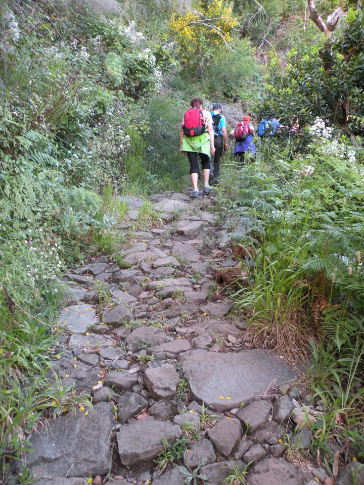 16 Madeira Encuemade - foto povečava