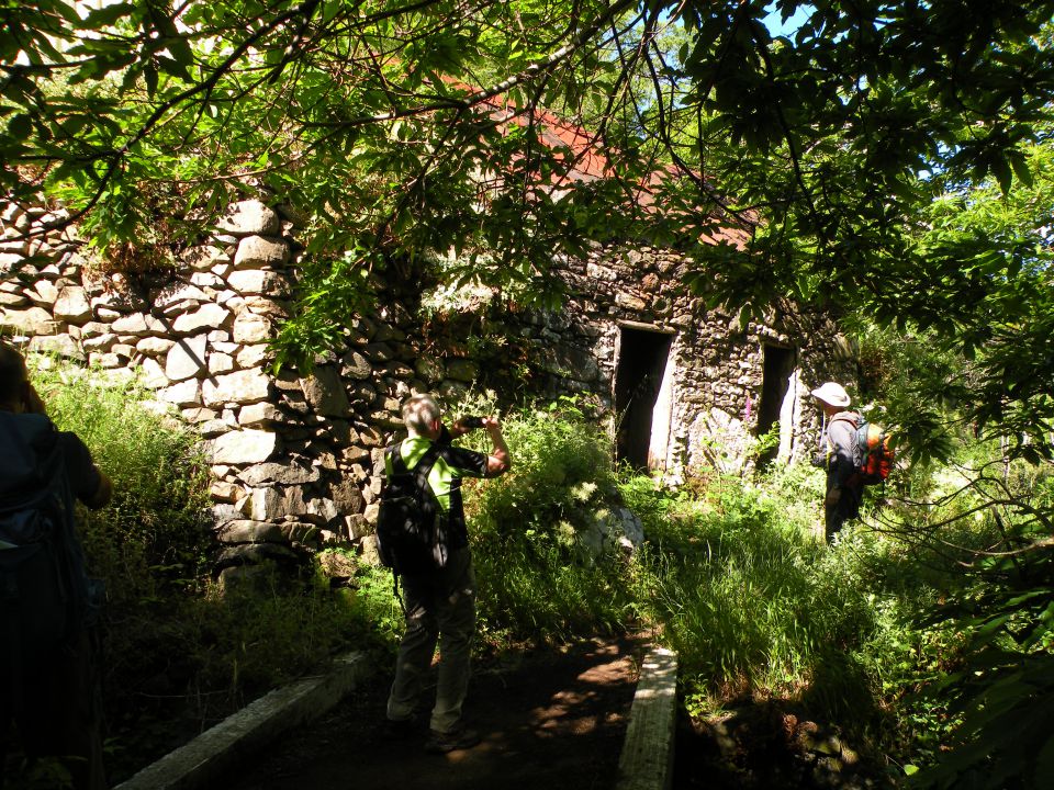 16 Madeira Encuemade - foto povečava