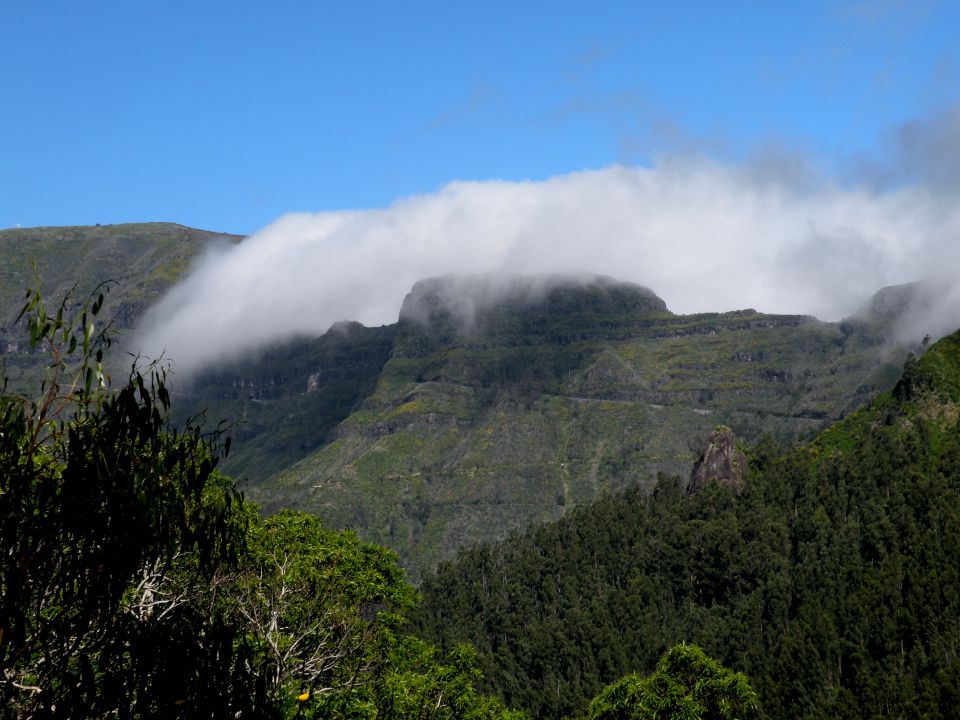 16 Madeira Encuemade - foto povečava