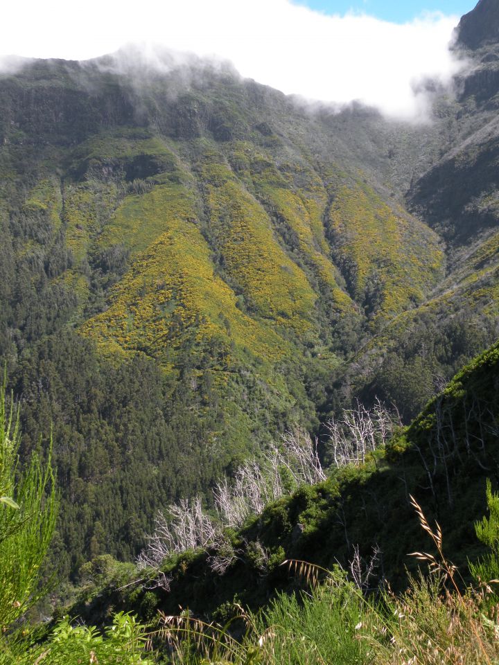 16 Madeira Encuemade - foto povečava