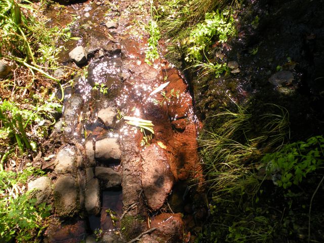 16 Madeira Encuemade - foto