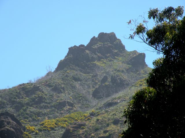 16 Madeira Encuemade - foto