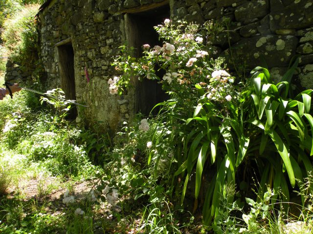 16 Madeira Encuemade - foto