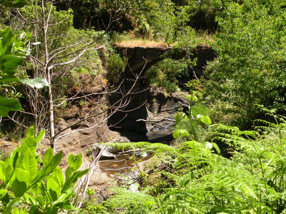 16 Madeira Encuemade - foto povečava