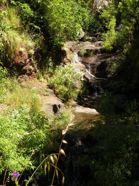 16 Madeira Encuemade - foto
