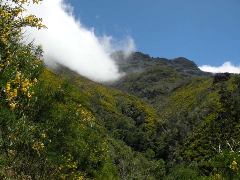 16 Madeira Encuemade - foto povečava