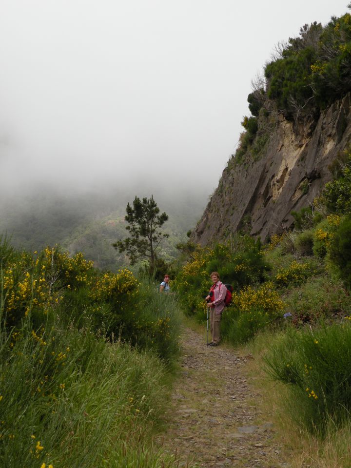 16 madeira Encuemade 2 - foto povečava