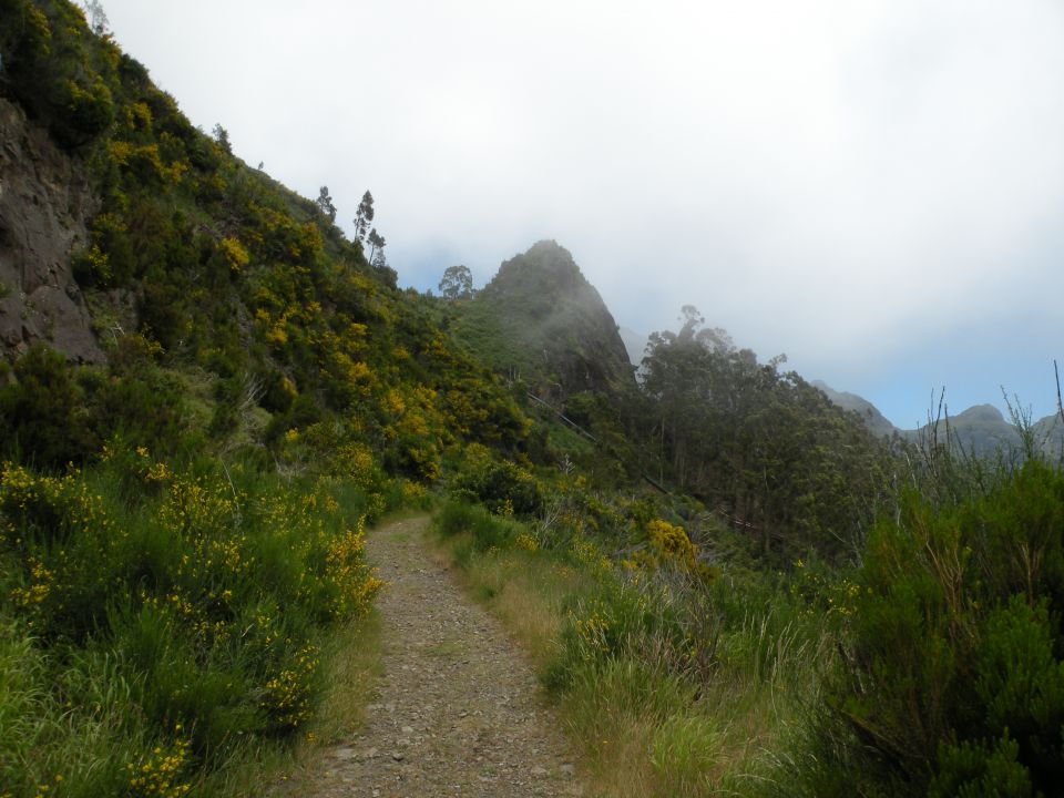 16 madeira Encuemade 2 - foto povečava