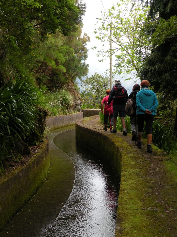 16 madeira Encuemade 2 - foto povečava