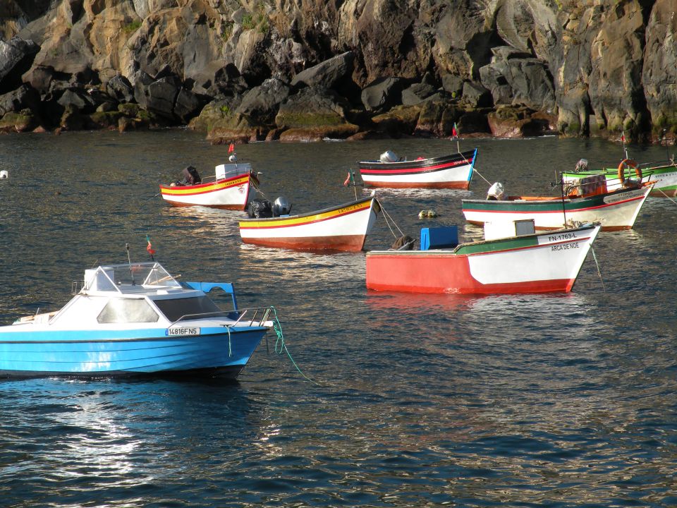 16 Madeira Camara de Lobos - foto povečava