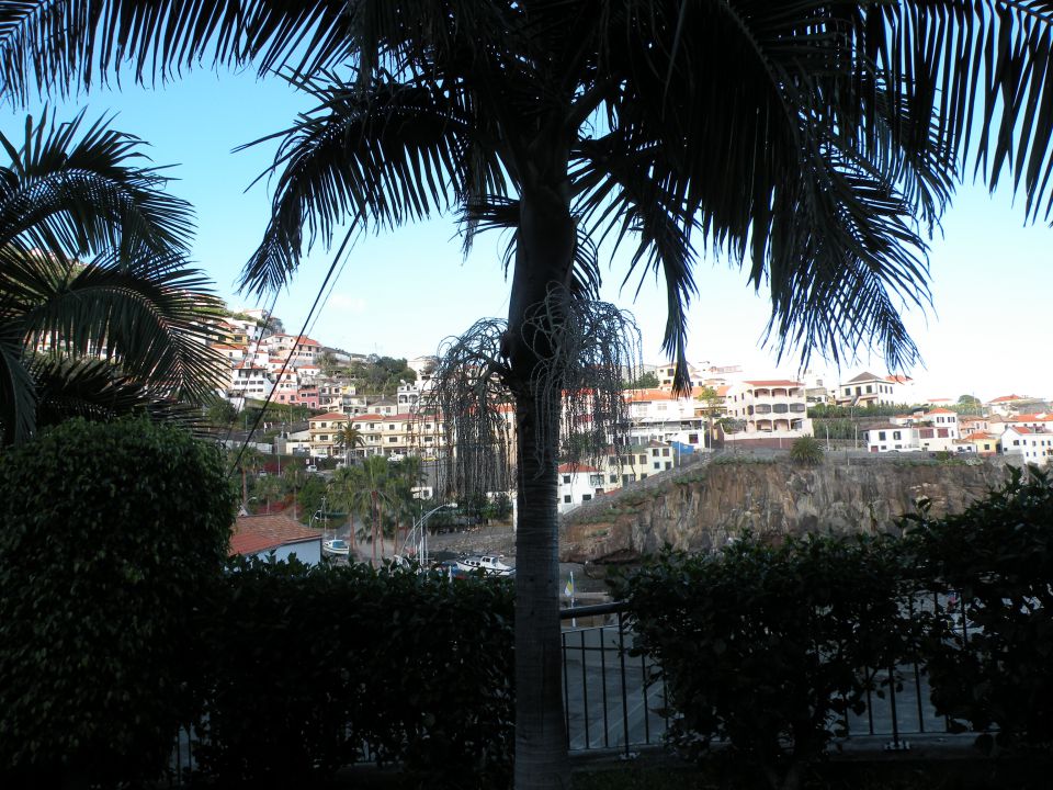 16 Madeira Camara de Lobos - foto povečava