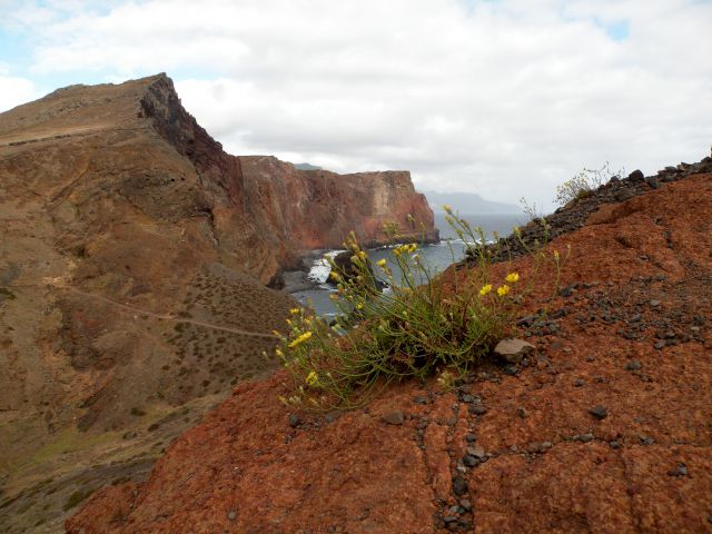 16 Madeira san Lorenco - foto