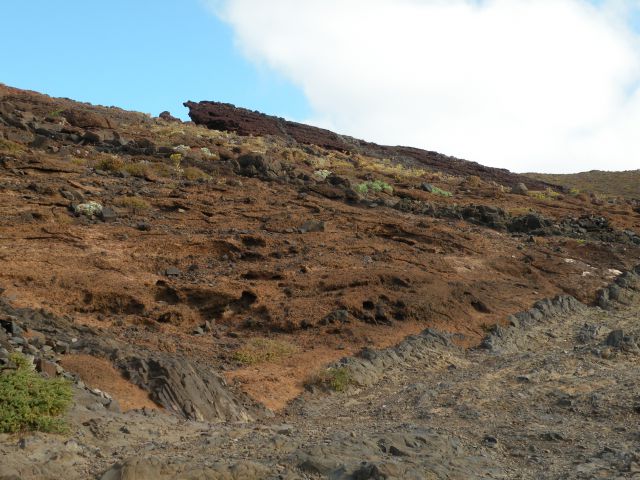 16 Madeira san Lorenco - foto