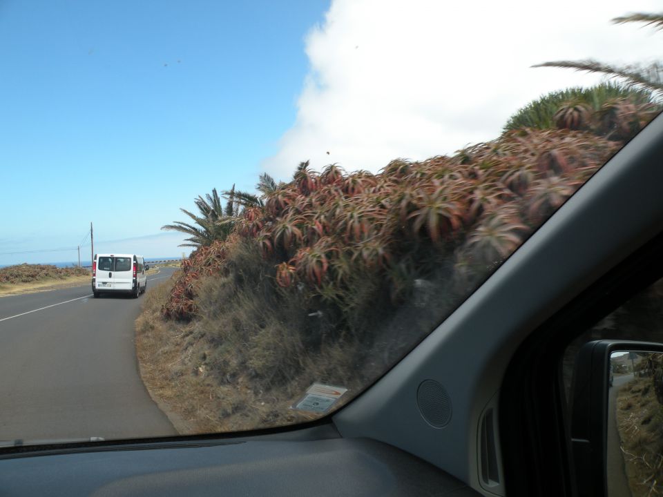 16 Madeira san Lorenco - foto povečava