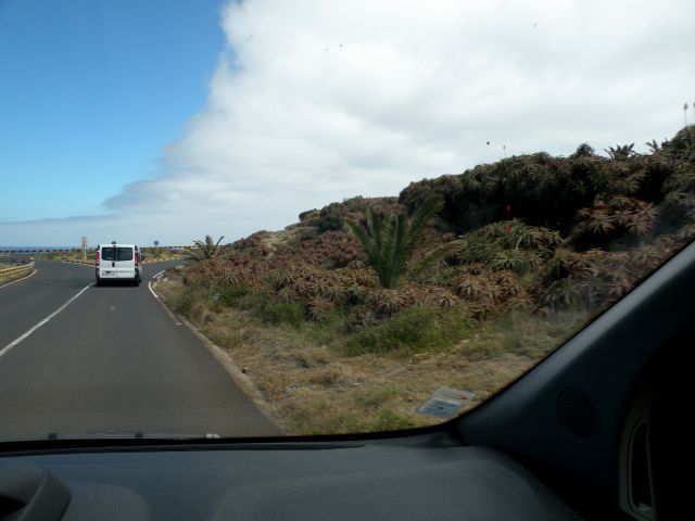 16 Madeira san Lorenco - foto