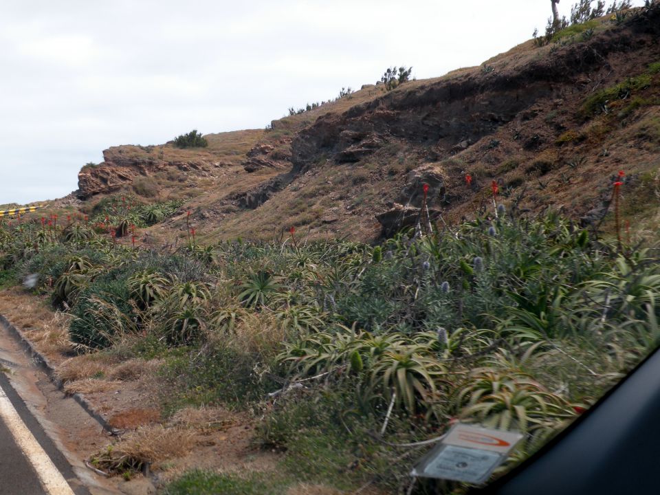 16 Madeira san Lorenco - foto povečava