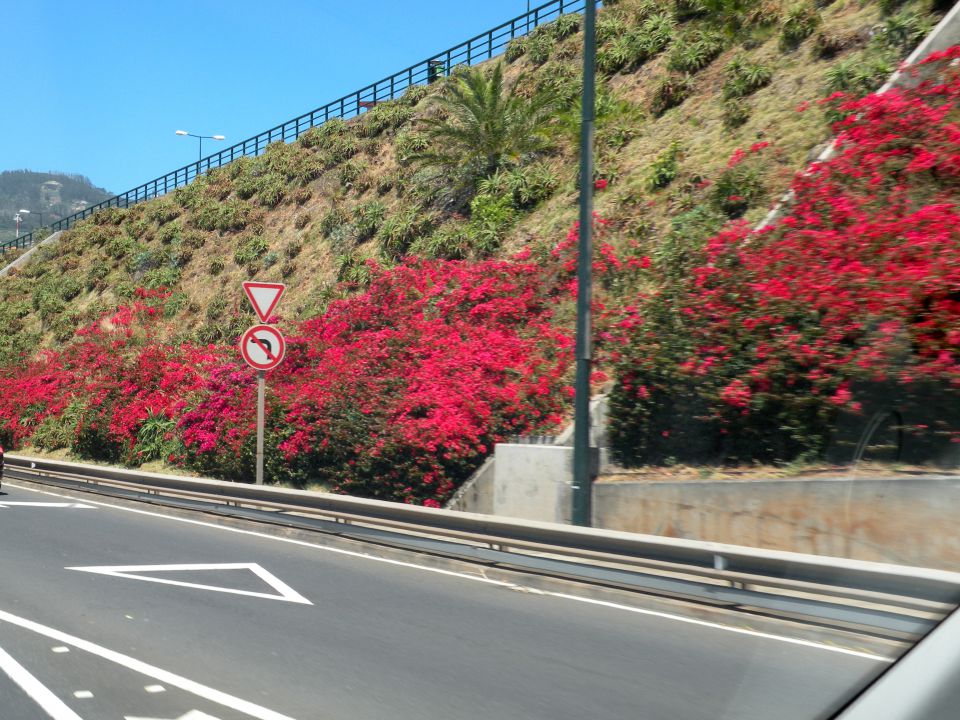 16 Madeira san Lorenco - foto povečava