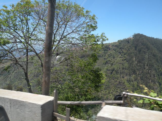 16 Madeira eira do Sarrado - foto