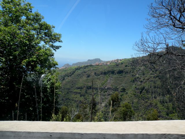 16 Madeira eira do Sarrado - foto